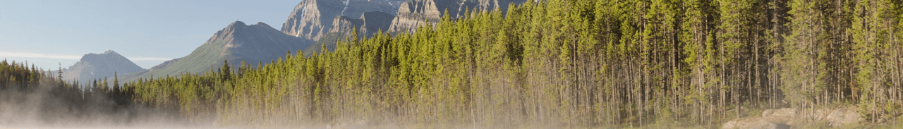 Canada landscape