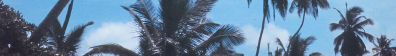 Cocos (Keeling) Islands landscape