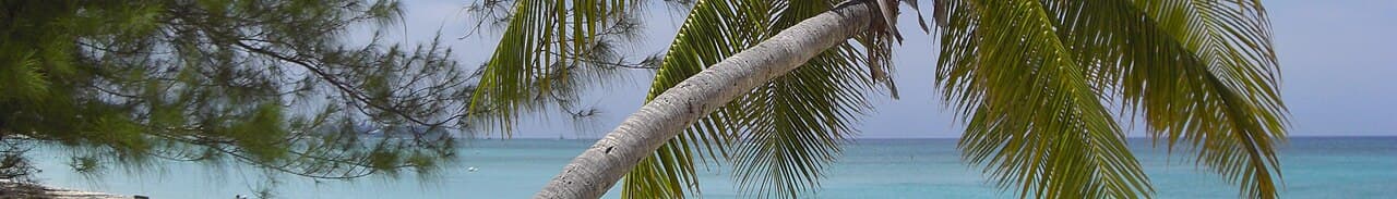 Cayman Islands landscape