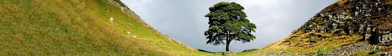 United Kingdom landscape