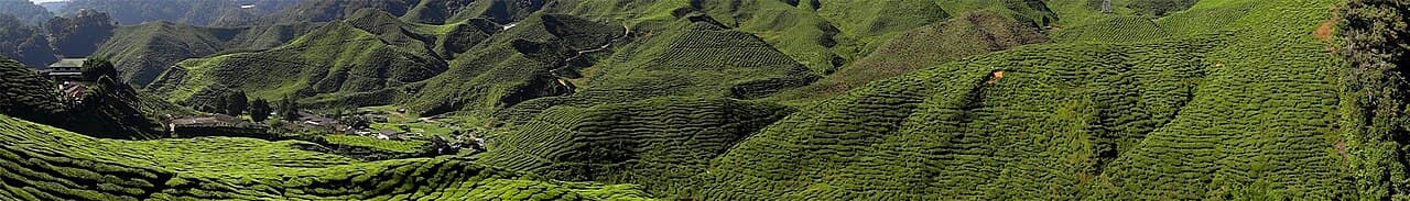 Malaysia landscape