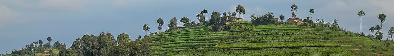 Rwanda landscape