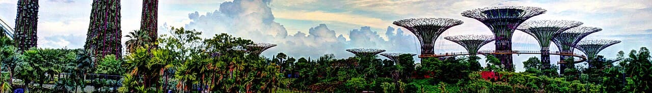 Singapore landscape