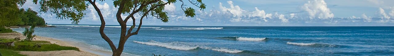 Vanuatu landscape