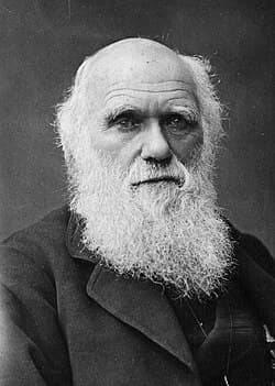 Charles Darwin Numerology — Life Path, Destiny Number & Compatible Countries