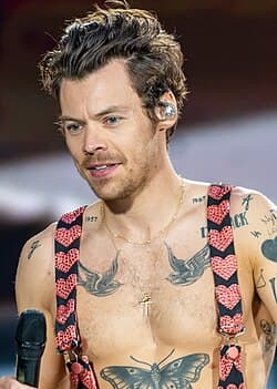Harry Styles Numerology — Life Path, Destiny Number & Compatible Countries