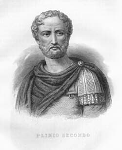 Pliny the Elder